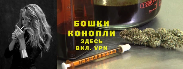 сатива Кодинск